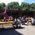 IMG-20191025-WA0009